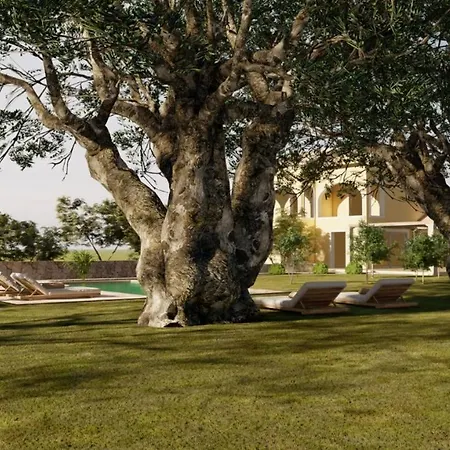 The Olive Project - Maria With Private Pool By Konnect *