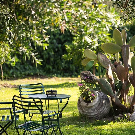 The Olive Project - Maria With Private Pool By Konnect